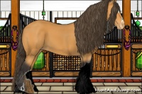 Horse Color:Buckskin Sabino Tobiano Appaloosa