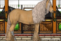 Horse Color:Palomino Rabicano