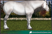 Horse Color:Platinum Buckskin Onyx Sabino Rabicano 