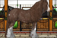 Horse Color:Liver Chestnut Sabino Snowflake VarnishRabicano 