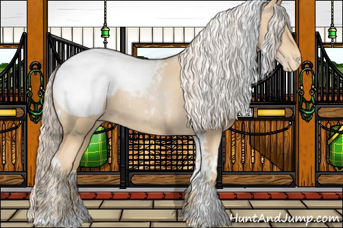 Horse Color:Palomino Pearl Tobiano Appaloosa 