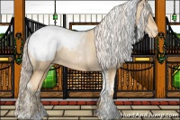 Horse Color:Palomino Pearl Tobiano Appaloosa