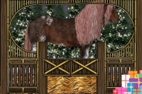 Horse Color:Painted White Spotted Liver Chestnut Ice