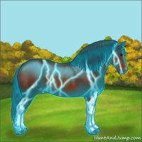 Horse Color:Thunderstruck Brown Tobiano Appaloosa Rabicano 