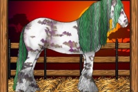 Horse Color:Painted Plaid  White Spotted Bay Ice 