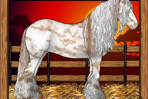 Horse Color:Plaid Red Dun Sabino Rabicano