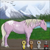 Horse Color:Painted Watercolor Silver Smoky Creme Appaloosa 