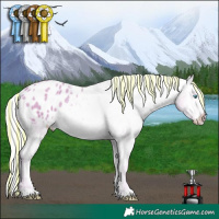 Horse Color:Painted Watercolor Silver Smoky Creme Appaloosa 