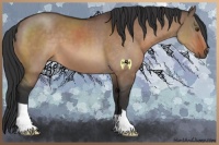 Horse Color:Brown Dun 