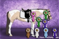 Horse Color:Amber Champagne Dun Tobiano