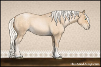 Horse Color:Silver Buckskin Roan Pearl Sabino 