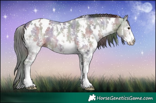 Horse Color:Nacre White Spotted Liver Chestnut Ice Sabino 