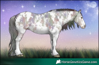 Horse Color:Nacre White Spotted Liver Chestnut Ice Sabino 