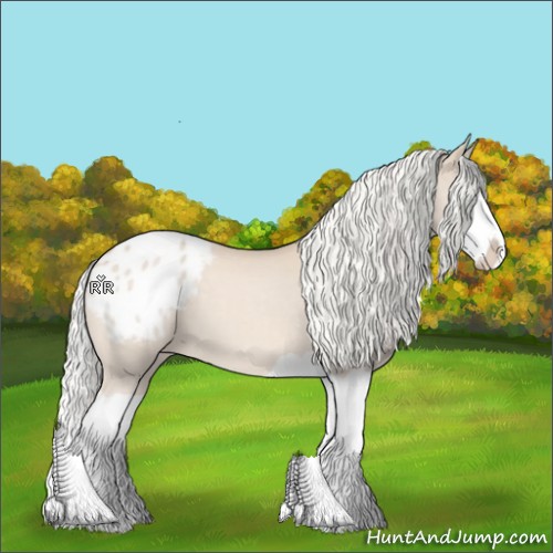 Horse Color:Silver Perlino Splash Appaloosa 
