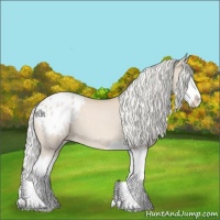 Horse Color:Silver Perlino Splash Blanket 