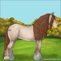 Horse Color:Buckskin Pearl Varnish