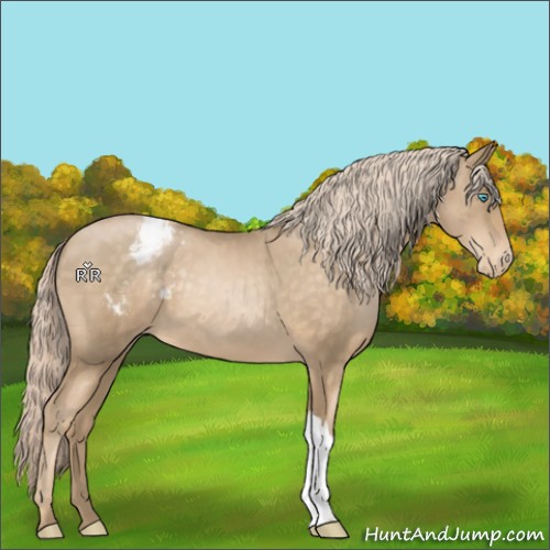 Horse Color:Chocolate Palomino Pearl Varnish