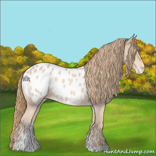 Horse Color:Perlino Sabino Appaloosa Rabicano 