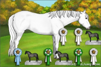 Horse Color:Gray Bay Dun Sabino