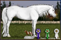 Horse Color:Gray Silver Brown Roan Tobiano Blanket Rabicano 