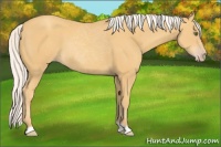 Horse Color:Silver Classic Cream Champagne