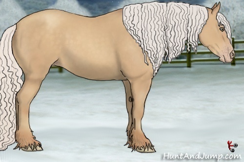 Horse Color:Silver Classic Champagne 