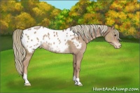 Horse Color:Chestnut Mushroom Near Leopard 