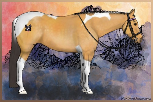 Horse Color:Buckskin Tobiano
