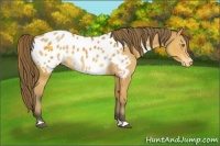 Horse Color:Buckskin Mushroom Blanket 