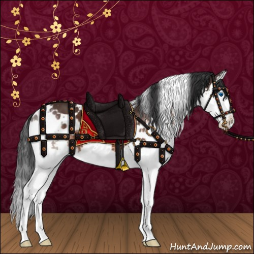 Horse Color:White Spotted Brown Splash