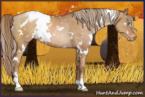 Horse Color:White Spotted Liver Chestnut Pearl Snowcap 