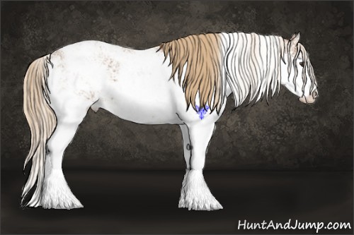 Horse Color:Chestnut Sabino