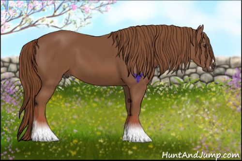 Horse Color:Chestnut Sabino 