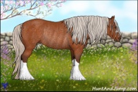 Horse Color:Silver Buckskin Rabicano