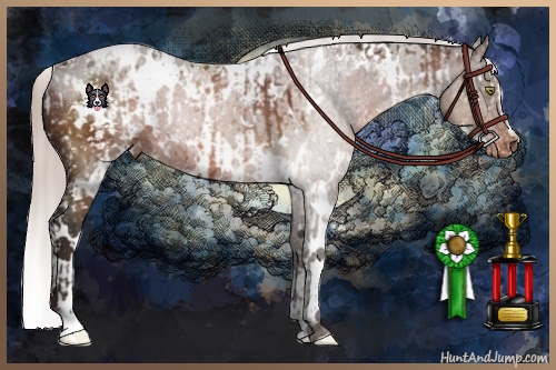 Horse Color:White Spotted Silver Brown Snowflake Varnish and White Spotted Silver Brown Snowflake Varnish