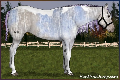 Horse Color:Painted Silver Grullo Ice Tobiano 