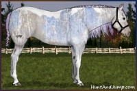 Horse Color:Painted Silver Grullo Ice Tobiano