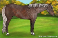 Horse Color:Silver Brown 