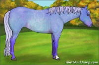 Horse Color:Watercolor Silver Brown Roan 