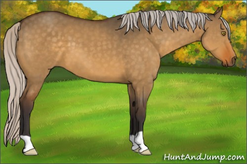 Horse Color:Silver Buckskin Dun