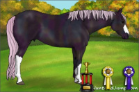 Horse Color:Watercolor Midnight Silver Black 