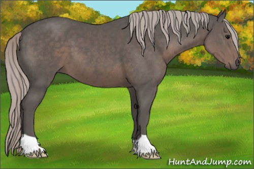 Horse Color:Silver Black 