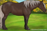 Horse Color:Silver Brown 