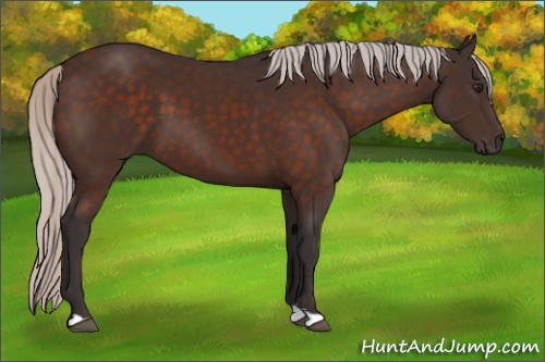 Horse Color:Silver Brown 