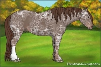 Horse Color:Liver Chestnut Ice 