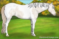 Horse Color:Smoky Creme Ice Tobiano