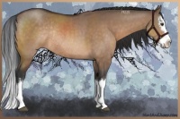 Horse Color:Brown Dun Sabino Splash Rabicano 