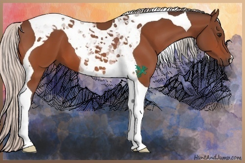 Horse Color:Silver Bay Tobiano 
