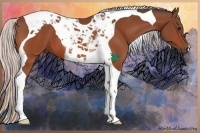 Horse Color:Silver Bay Tobiano
