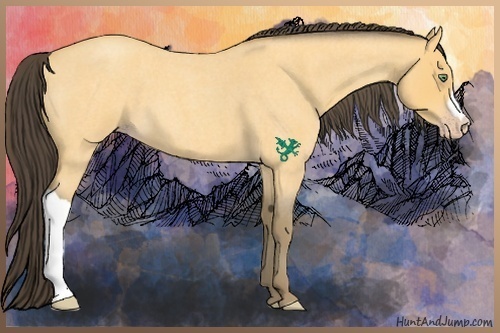 Horse Color:Amber Cream Champagne Roan 